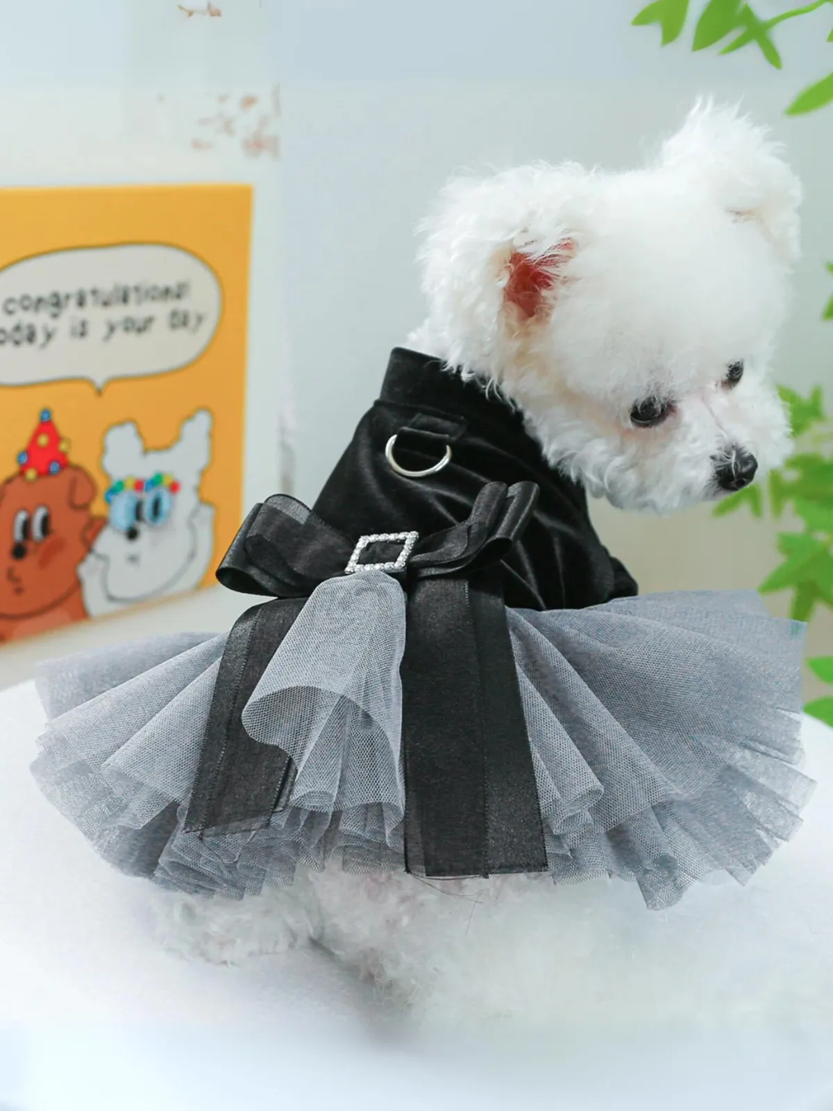 Elegant Black Velvet Bow Princess Mesh Dog Dress